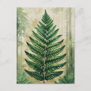 Farnblätter Botanisch Postkarte