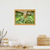 Farnblätter Foto Poster (Küche)
