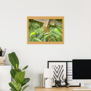 Farnblätter Foto Poster