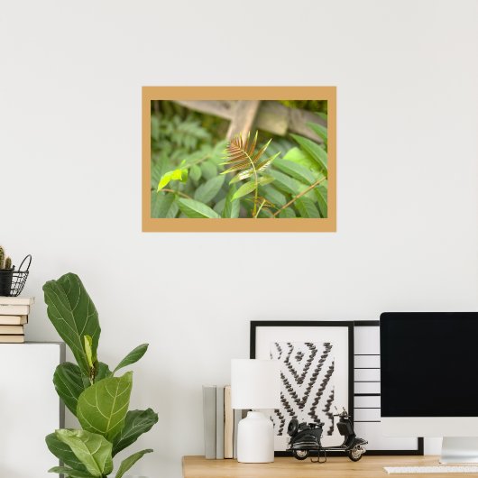 Farnblätter Foto Poster (Heimbüro)