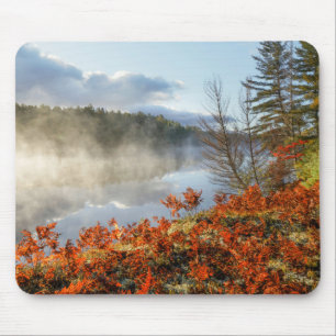 Farne an der Küste Paradise, Michigan Mousepad