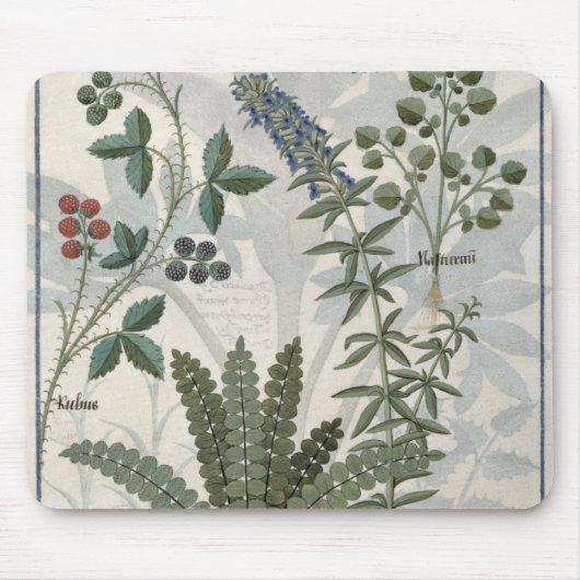 Farne, Brombeersträucher und Blumen Mousepad (Vorne)