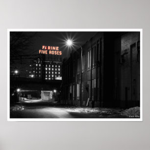 Farne fünf Rose Poster