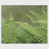 Farne Geschenkpapier (Flach)