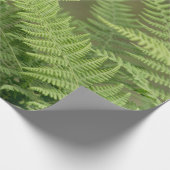 Farne Geschenkpapier (Ecke)