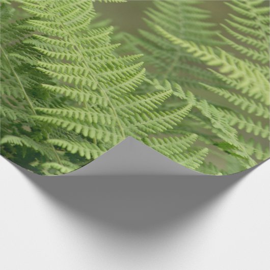 Farne Geschenkpapier (Ecke)