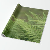 Farne Geschenkpapier (Ungerollt)