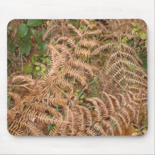 Farne im Herbst Mousepad