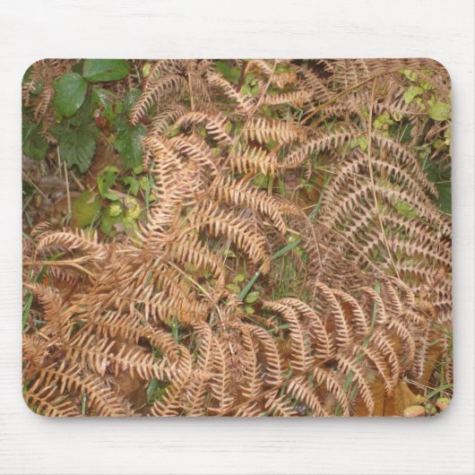 Farne im Herbst Mousepad (Vorne)