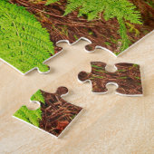 Farne im Wald Puzzle (Seite)