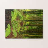 Farne im Wald Puzzle (Horizontal)