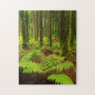 Farne im Wald Puzzle