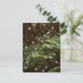 Farne im Zentrum der Waldsterne Postkarte (Stehend Vorderseite)