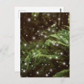 Farne im Zentrum der Waldsterne Postkarte (Vorne/Hinten)