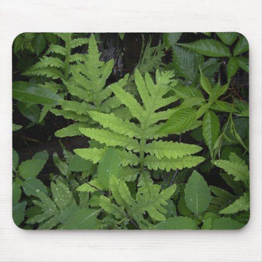 Farne Mousepad (Vorne)