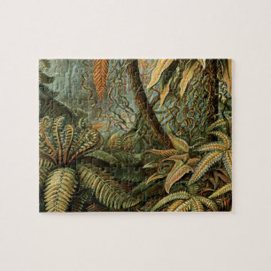 Farne Palmbaum Antike Botanische Farnkunst Puzzle