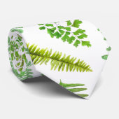 Farnen auf beliebigem Farbhintergrund Krawatte (Gerollt)