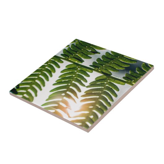 Farngoly Fliese (Seite)