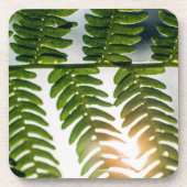 Farngoly Getränkeuntersetzer (Vorderseite)