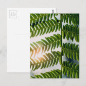 Farngoly Postkarte (Vorne/Hinten)