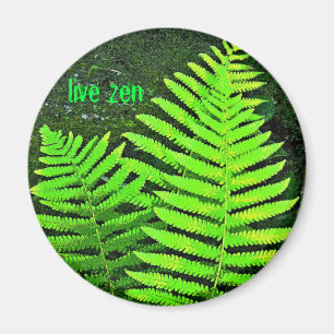 FarnliveZenmagnet Magnet