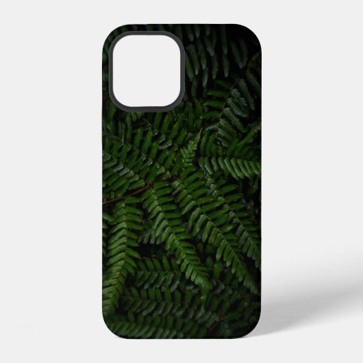 Farnpflanze iPhone Hülle (Rückseite)