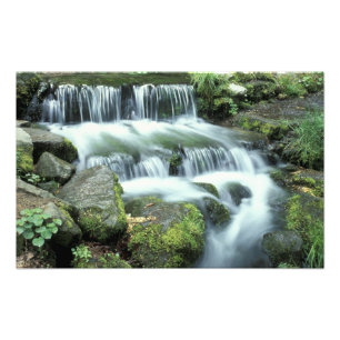 Farnquelle, Yosemite-Nationalpark Fotodruck