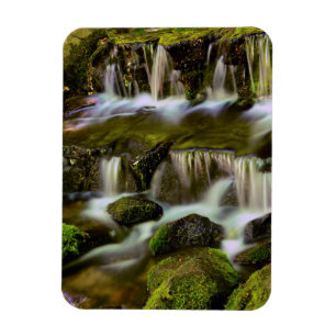 Farnquelle, Yosemite-Nationalpark, Kalifornien Magnet