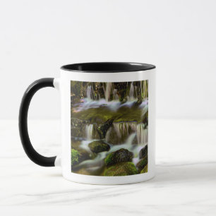 Farnquelle, Yosemite-Nationalpark, Kalifornien Tasse