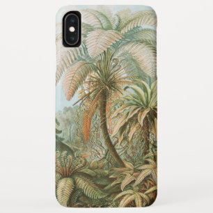 Farnsamen, Filicinae Laubfarne von Ernst Haeckel Case-Mate iPhone Hülle