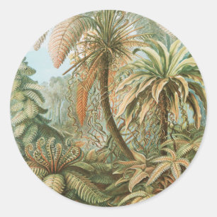 Farnsamen, Filicinae Laubfarne von Ernst Haeckel Runder Aufkleber