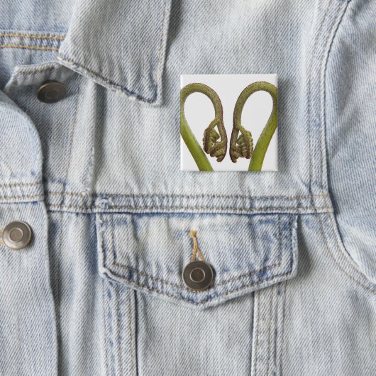 Farnsprösslinge 2 button (Beispiel)