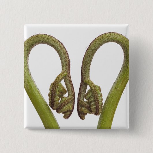 Farnsprösslinge 2 button (Vorderseite)