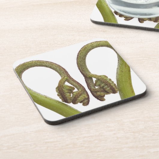 Farnsprösslinge 2 getränkeuntersetzer (Linke Seite)