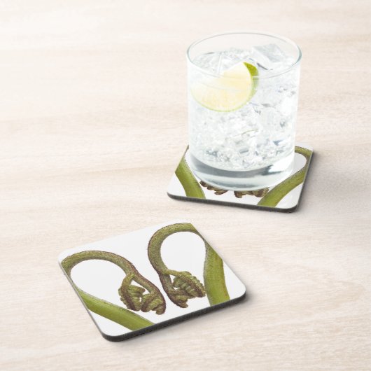 Farnsprösslinge 2 getränkeuntersetzer (Rechte Seite)