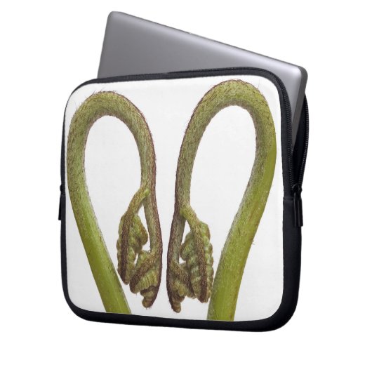 Farnsprösslinge 2 laptopschutzhülle (Vorderseite Links)