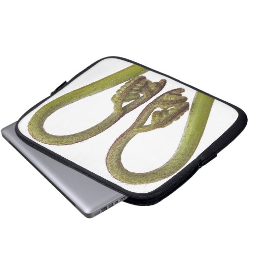 Farnsprösslinge 2 laptopschutzhülle (Vorne Knopf)