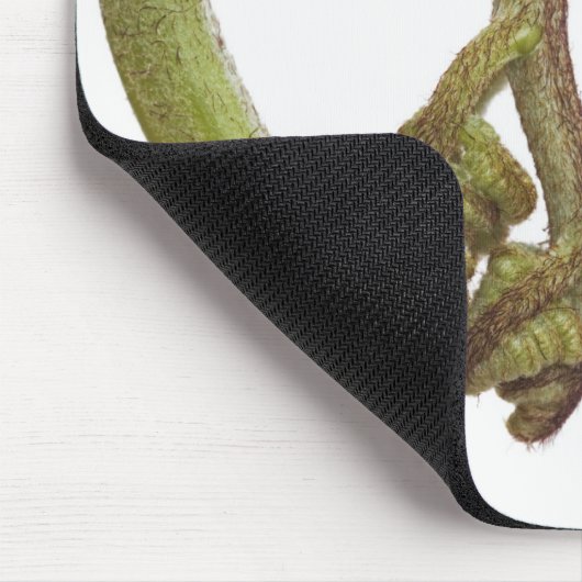 Farnsprösslinge 2 mousepad (Ecke)