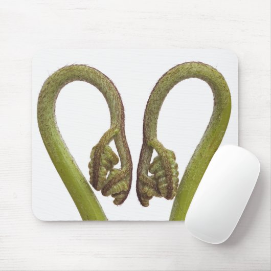 Farnsprösslinge 2 mousepad (Mit Mouse)