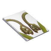 Farnsprösslinge 2 notizblock (Rechte Seite)