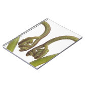 Farnsprösslinge 2 notizblock (Linke Seite)