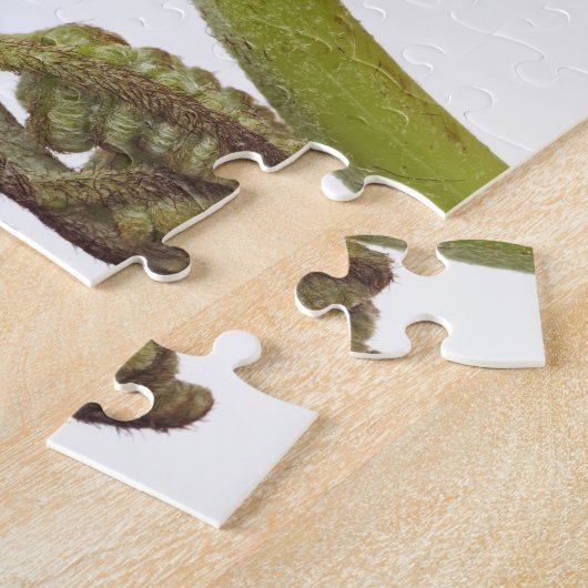 Farnsprösslinge 2 puzzle (Seite)