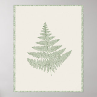 Farnwedel Botanischer Druck Sagegrün auf Creme Poster