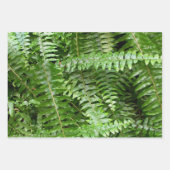 Farnwedel I Grüne Natur Geschenkpapier Set (Vorderseite 3)