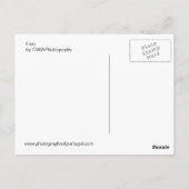 Faro Postkarte (Rückseite)