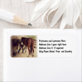 Farrier - Schönes Foto Hoof Trim (Insitu)