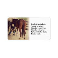 Farrier - Schönes Foto Hoof Trim