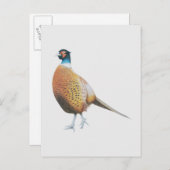 Fasan 2012 postkarte (Vorne/Hinten)