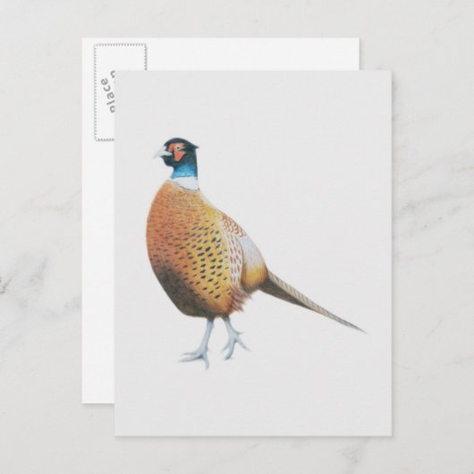 Fasan 2012 postkarte (Vorne/Hinten)