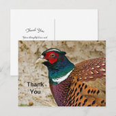Fasan 3 Danke Postkarte (Vorne/Hinten)